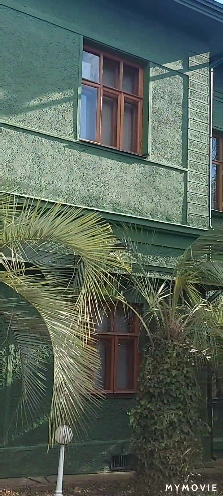 @VIKI_ART_SOCHI