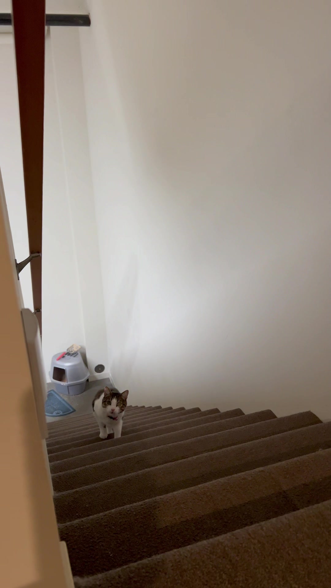 @Zachary Diaz