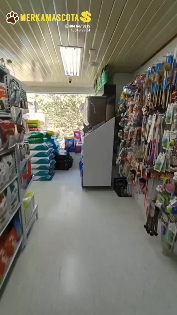@Merka mascota