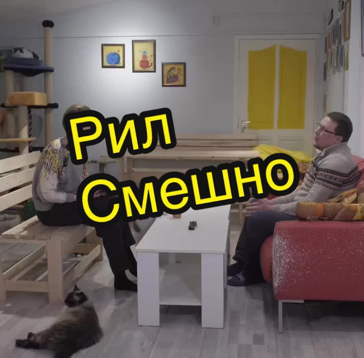 @Антошкин Кот
