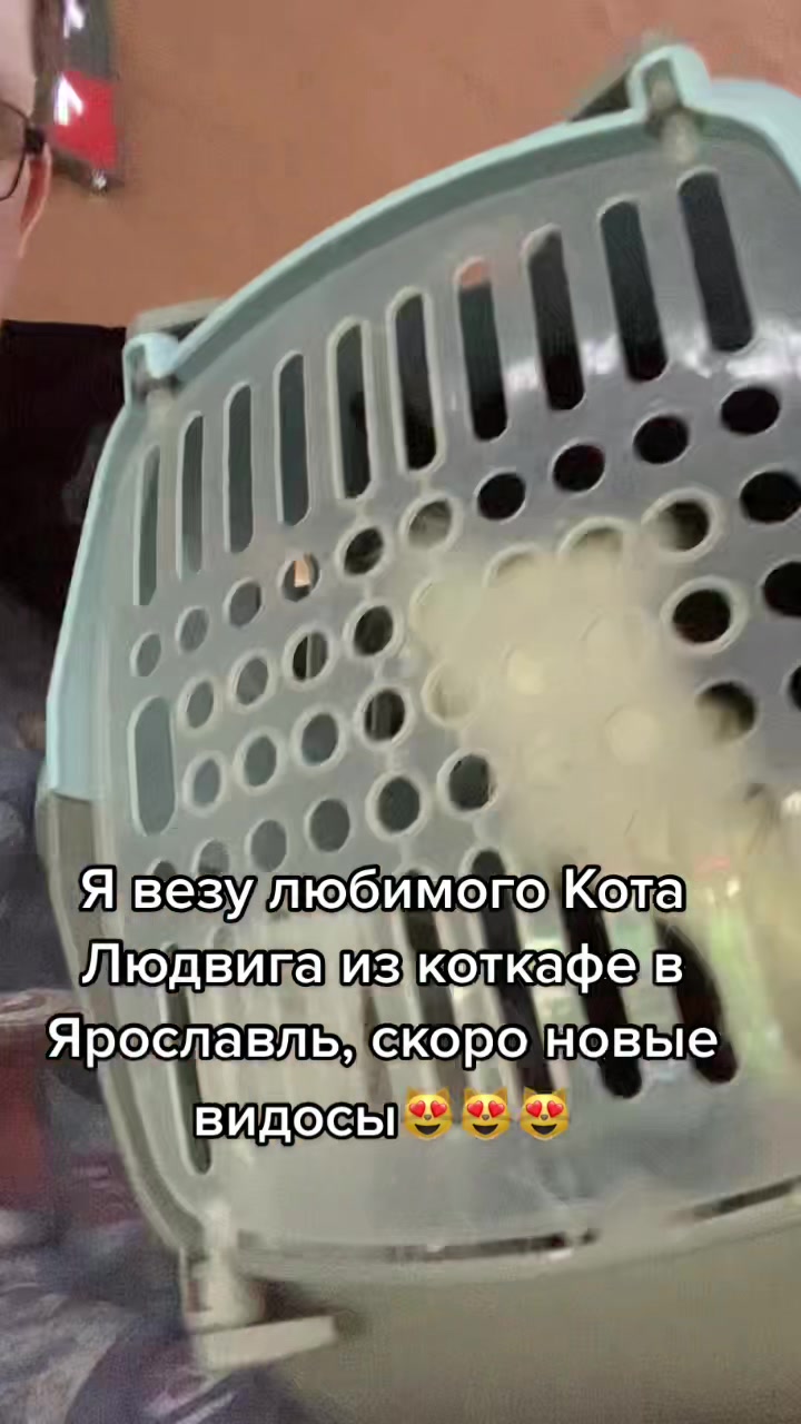 @Антошкин Кот