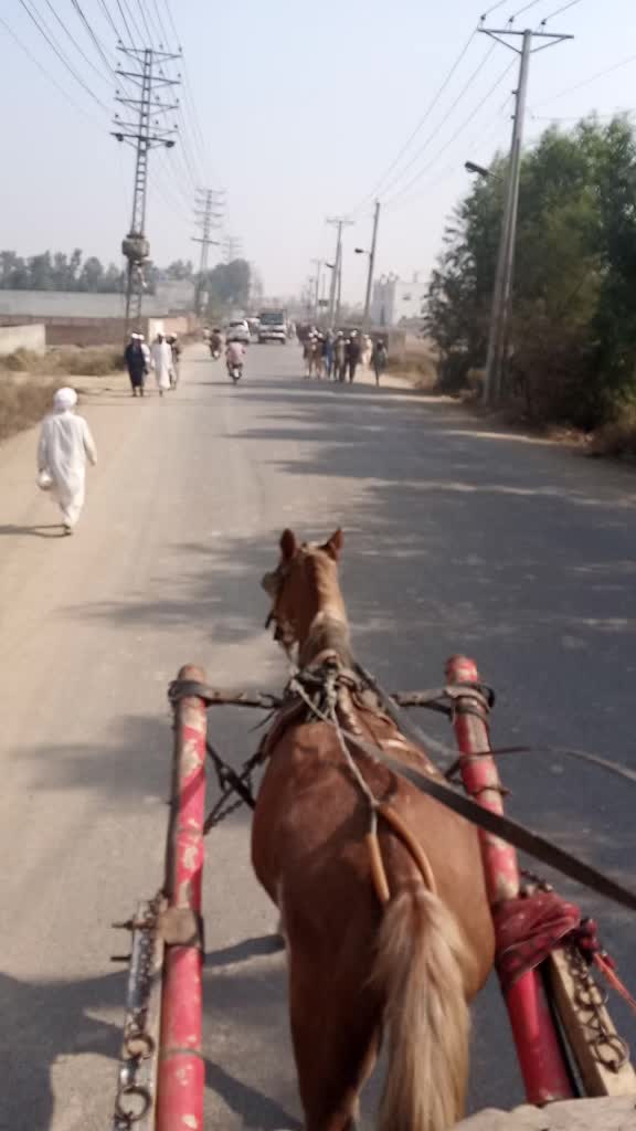 @Bilal khan