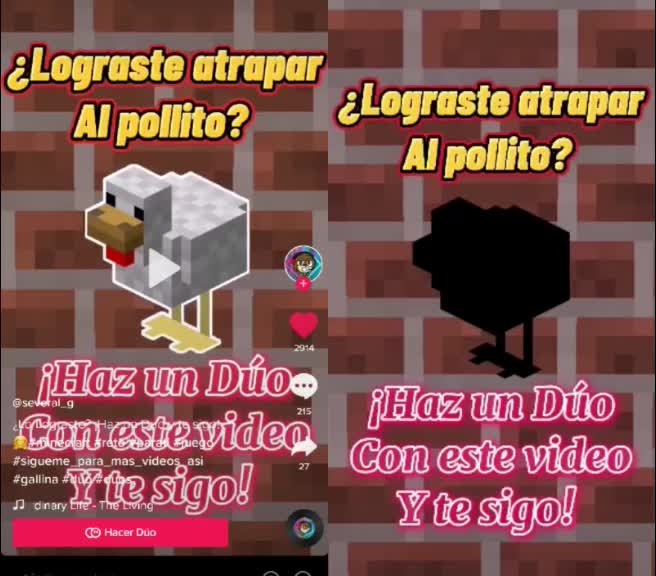 @skcool