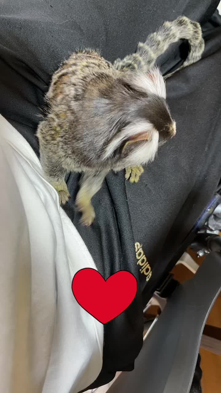 @ヒロ🦄