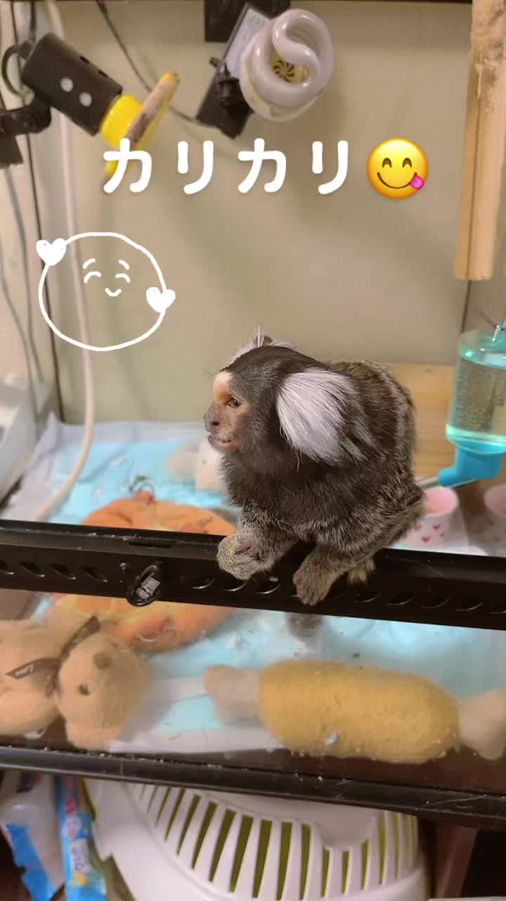@ヒロ🦄