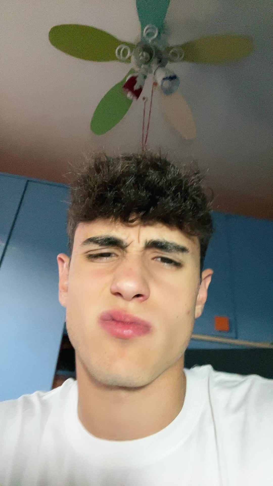 @favrisietto