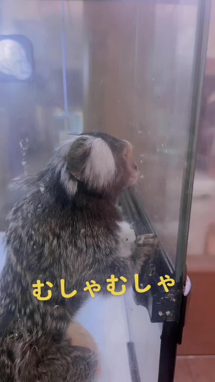 @ヒロ🦄