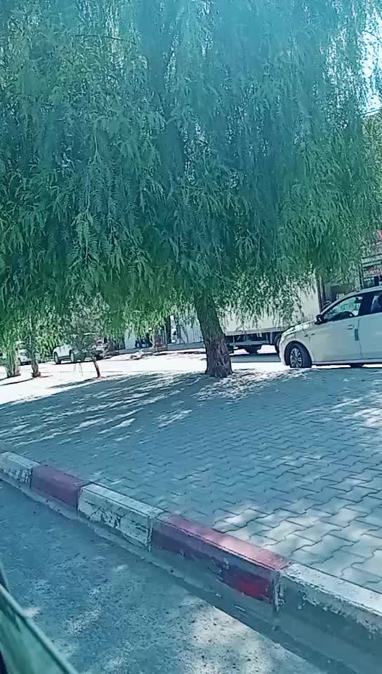 @👑♓آلَشـ༈ـآؤُ05يـ༈ـة♓👑