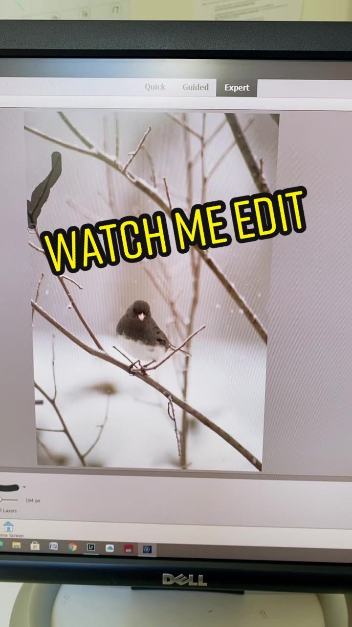 @thepostermakery