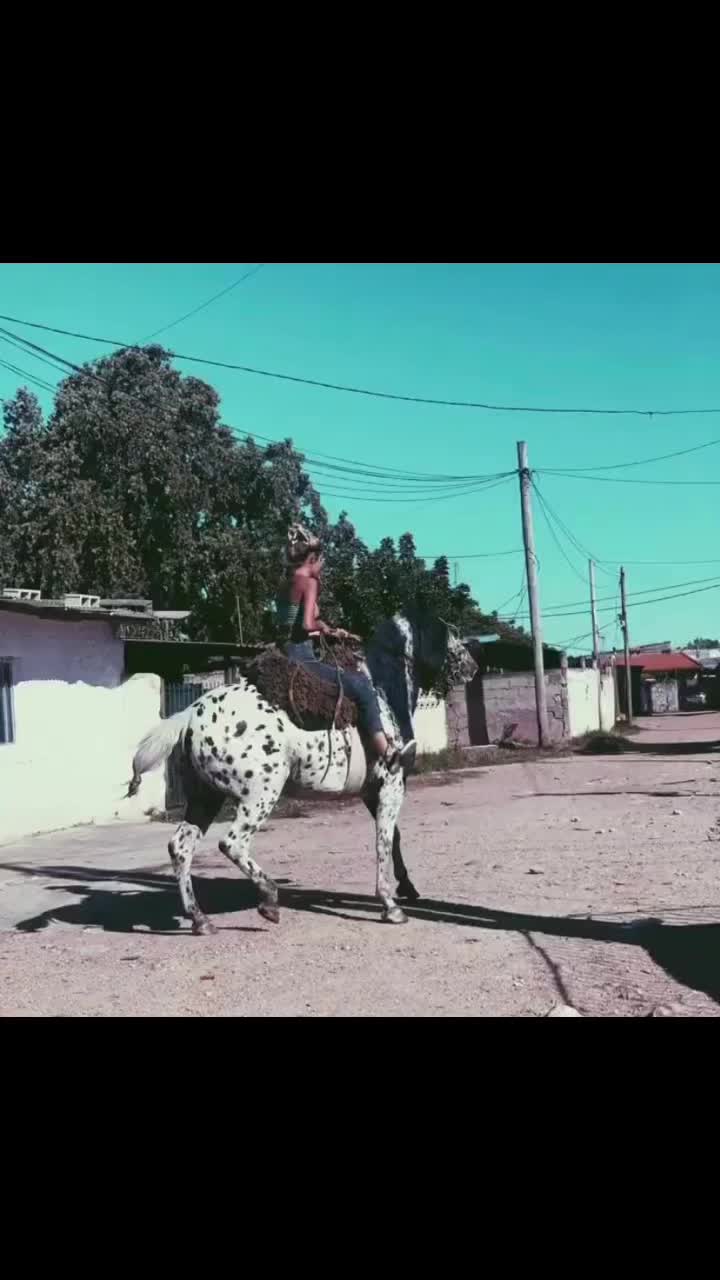 @𝓜𝓪𝔂𝓽𝓮 𝓑𝓸𝓷𝓲𝓵𝓵𝓪🥀