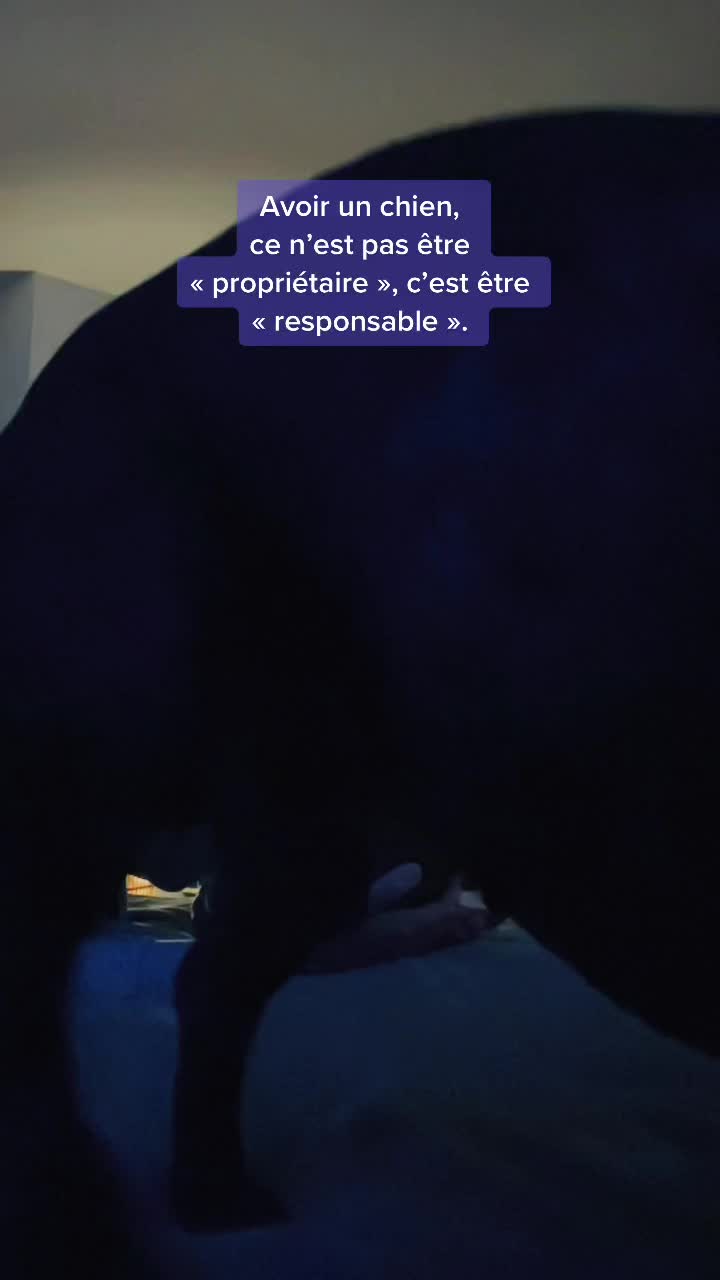 @Emeuh