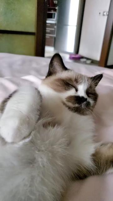@Кот Клякса