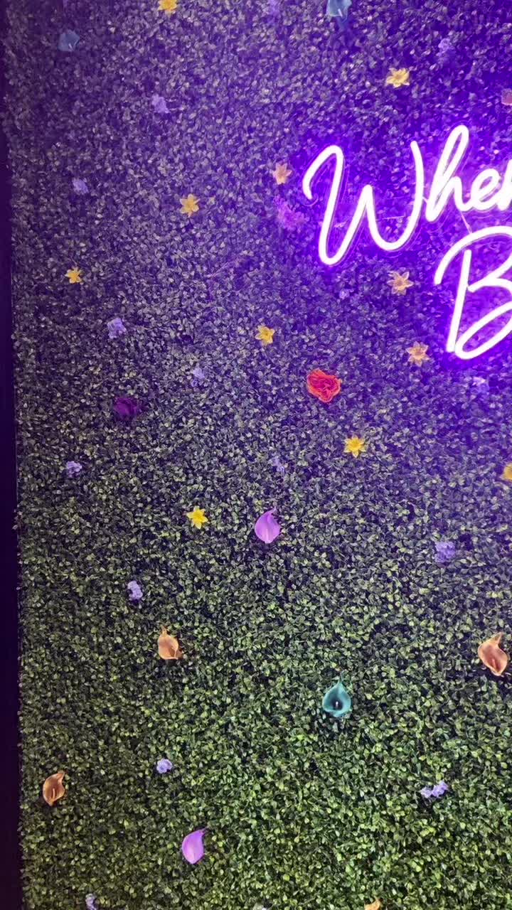 @Amaya Orthodontics