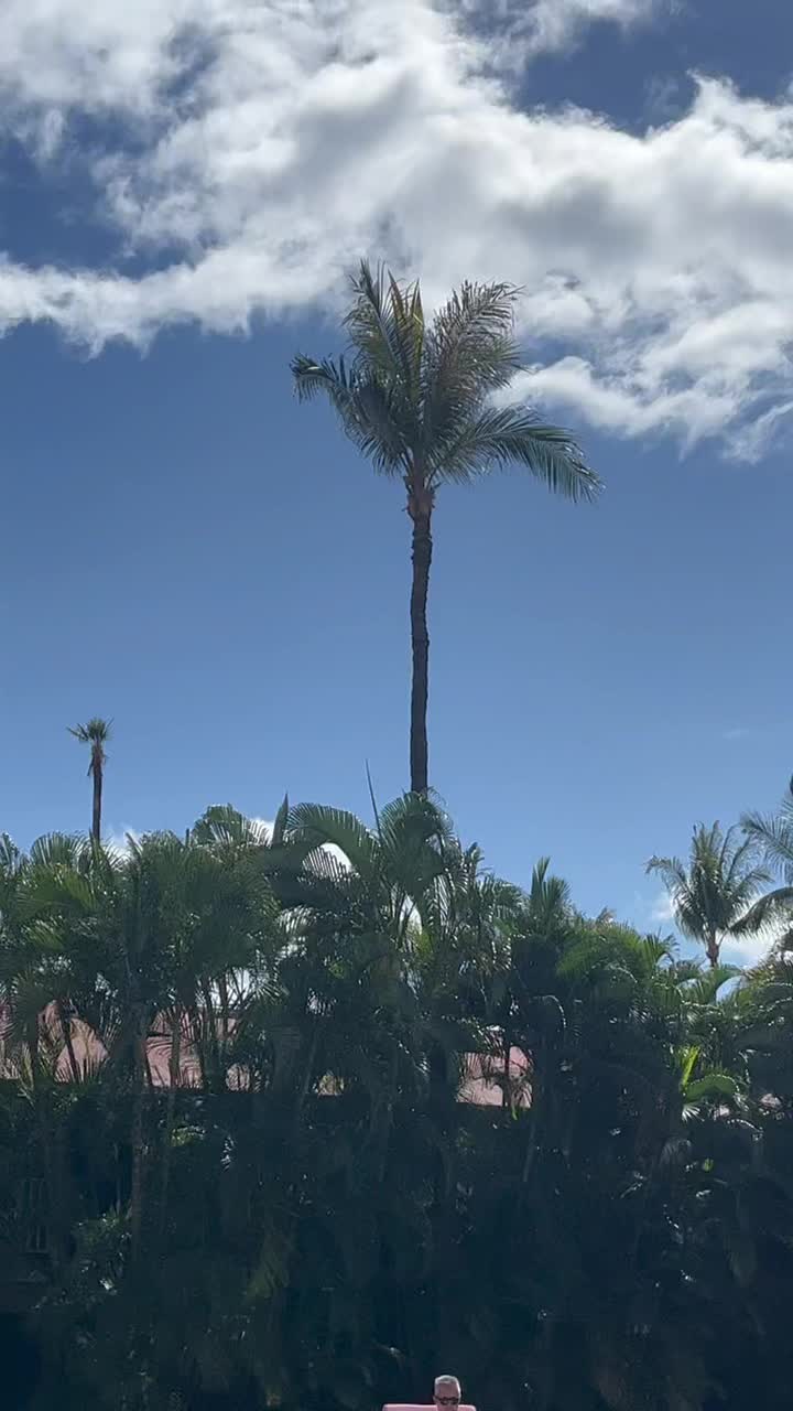 @_Megan_Makes_