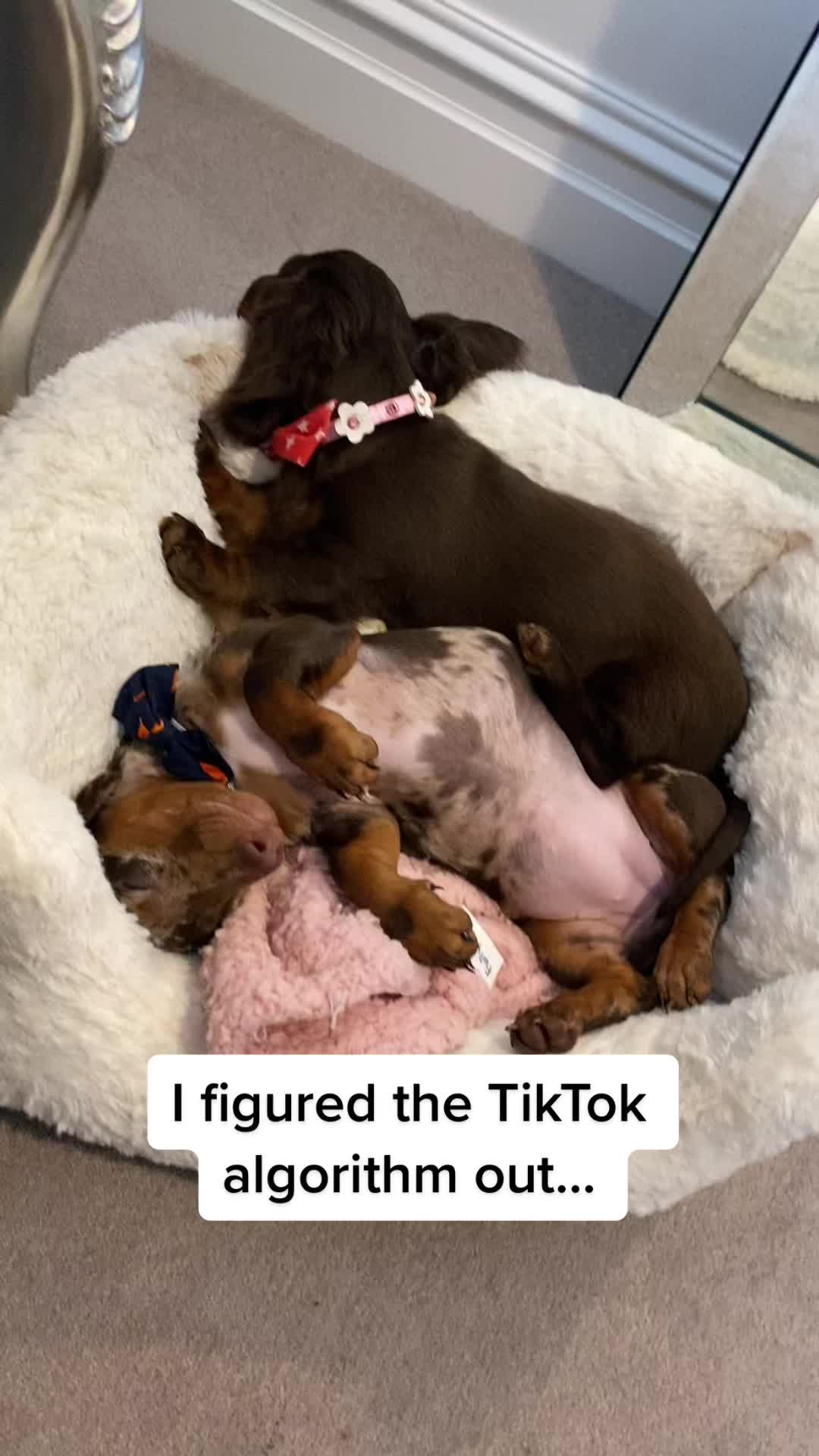 @billieandblu