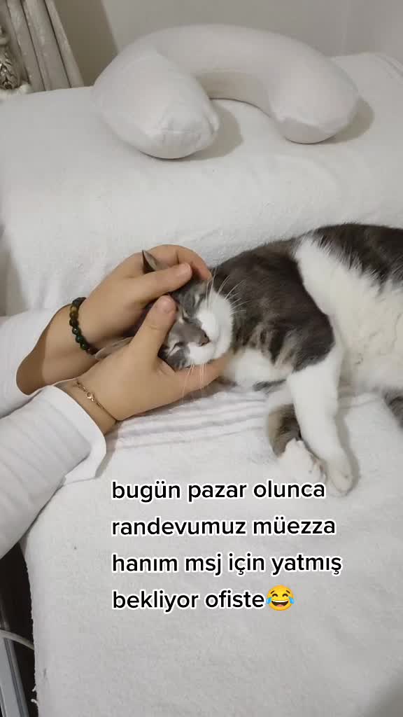 @Elif Enise Alan&ccedil;ay
