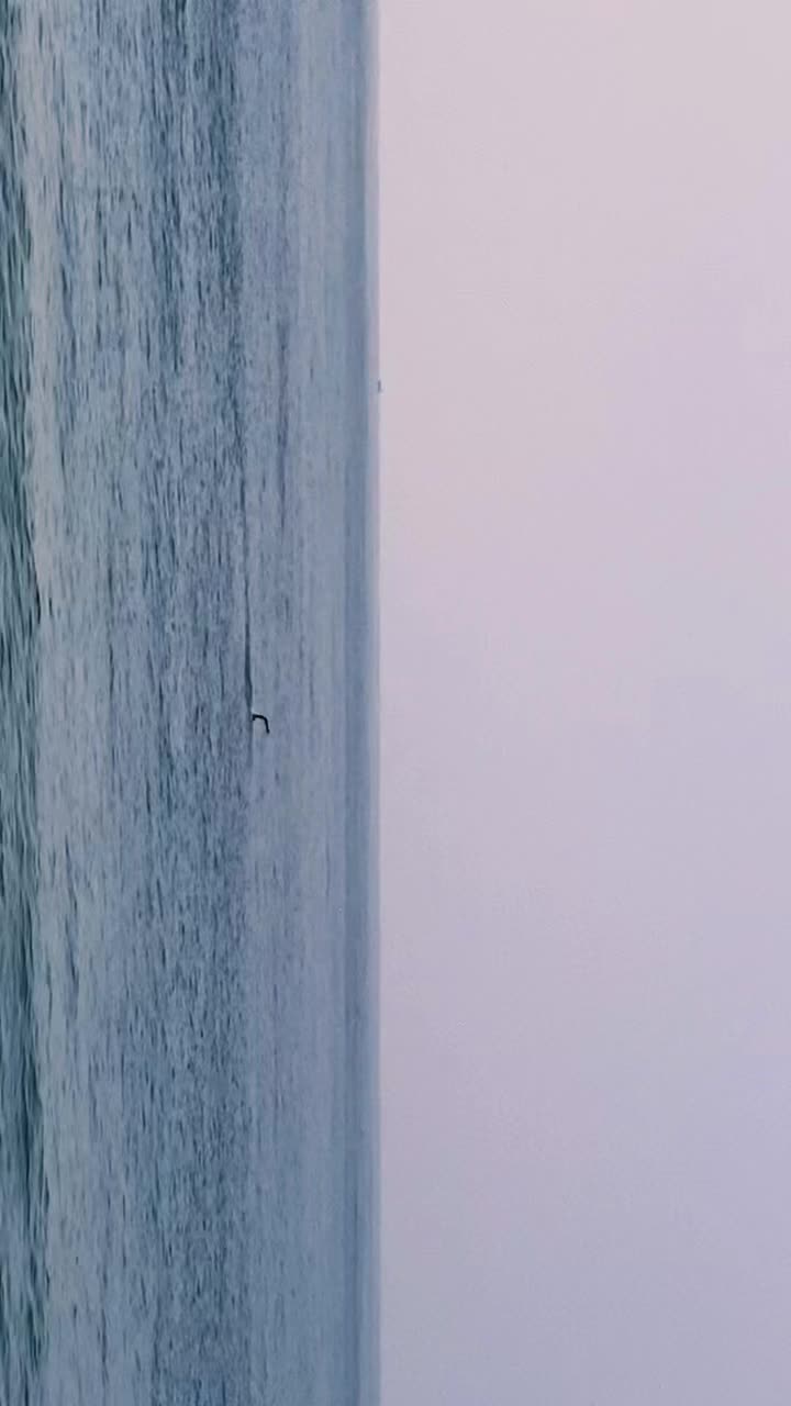 @🌺AN🩵