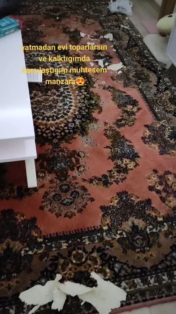 @Elif Enise Alan&ccedil;ay