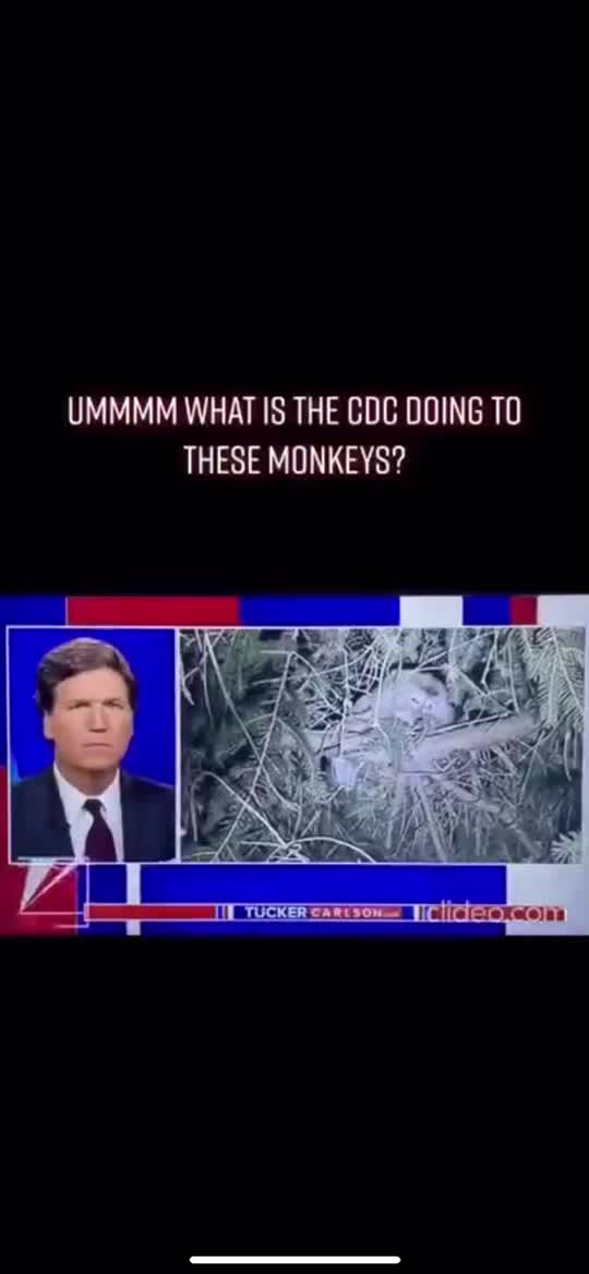 @Horselife