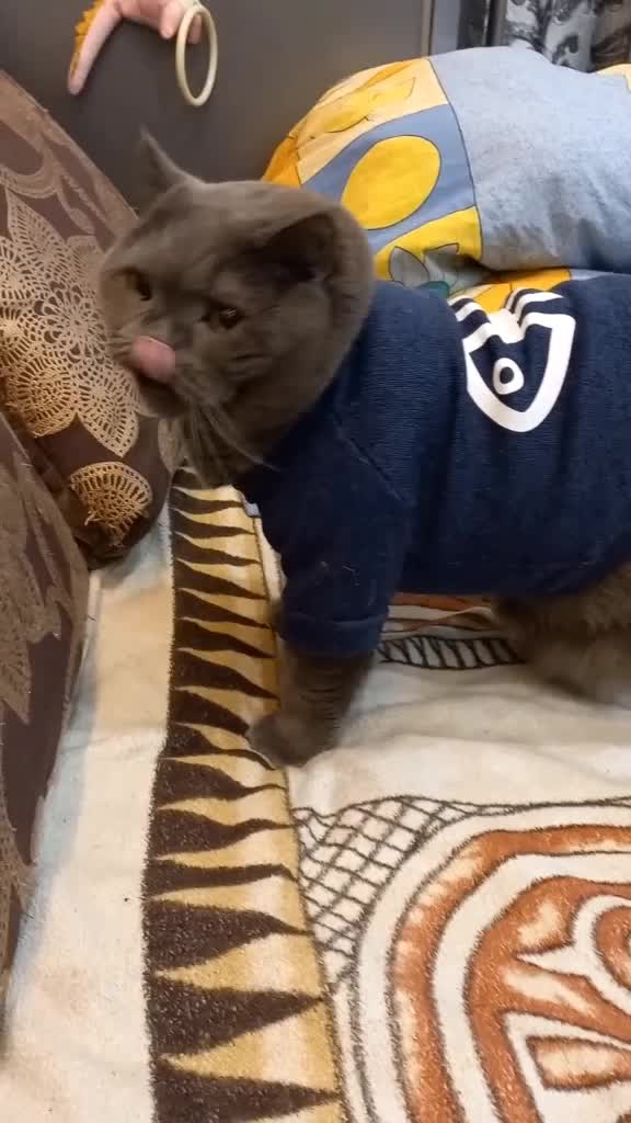 @Жанночка