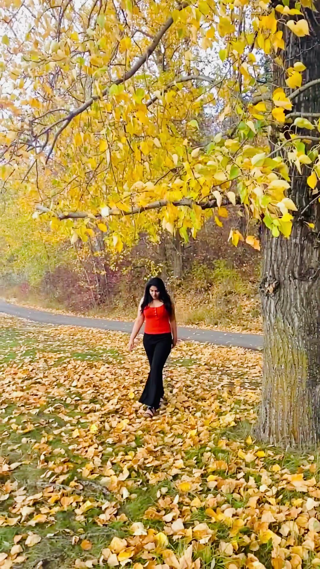@Ankitaarora