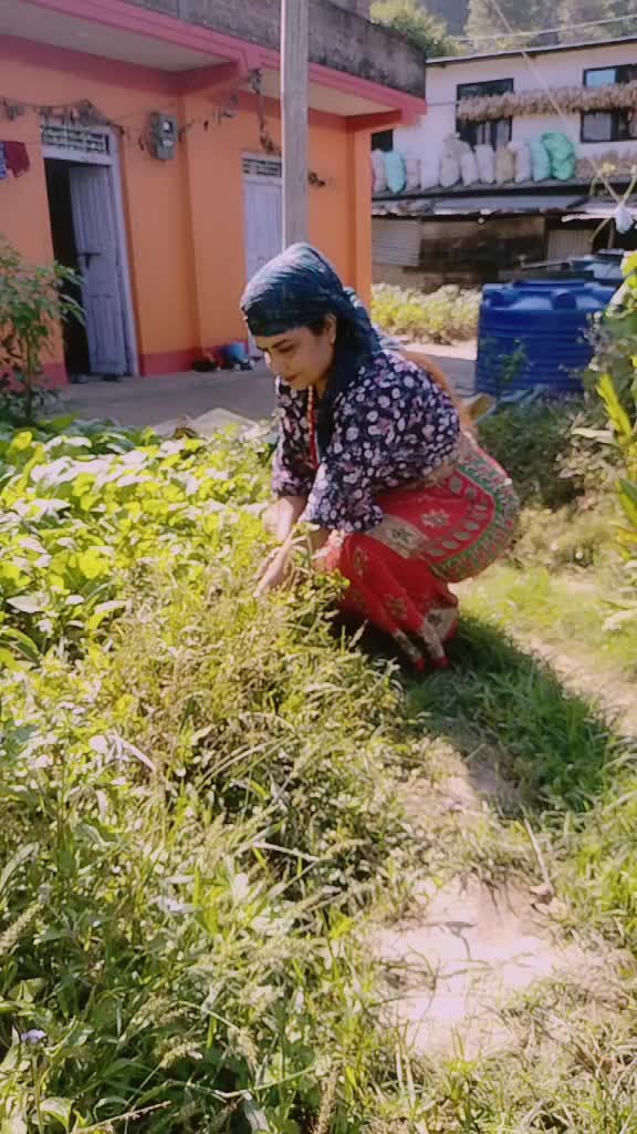 @dhakalsubhardranepal