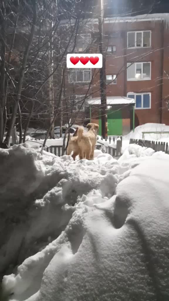 @Юленька