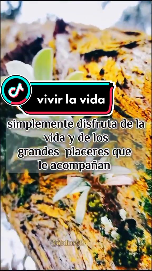@abdias019