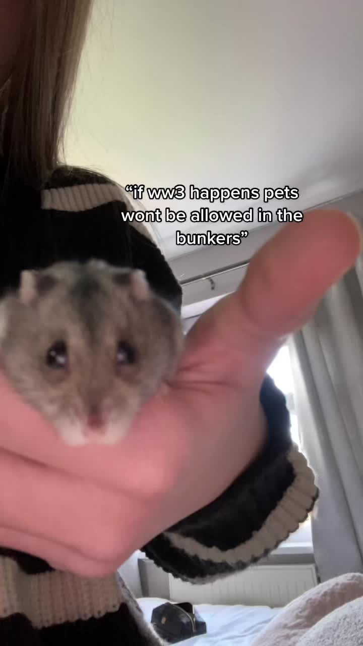 @mabel <3