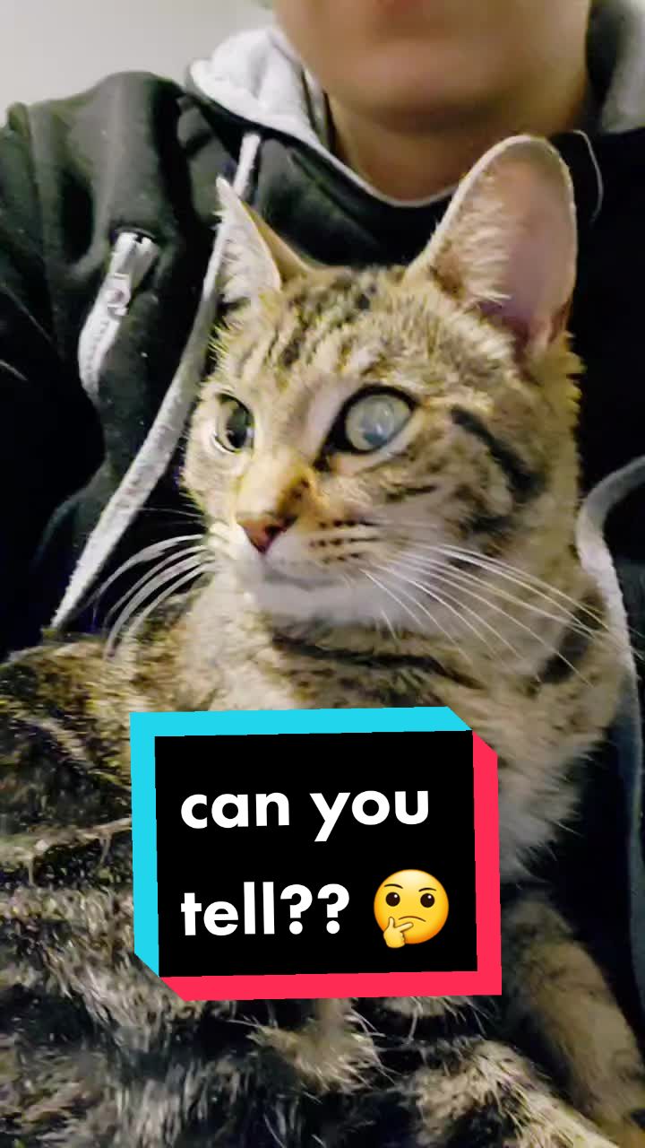 @Amaris