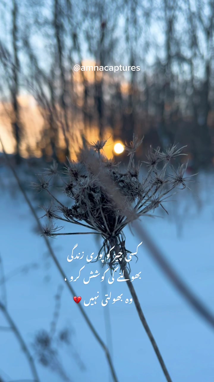 @Nature lover  🇨🇦