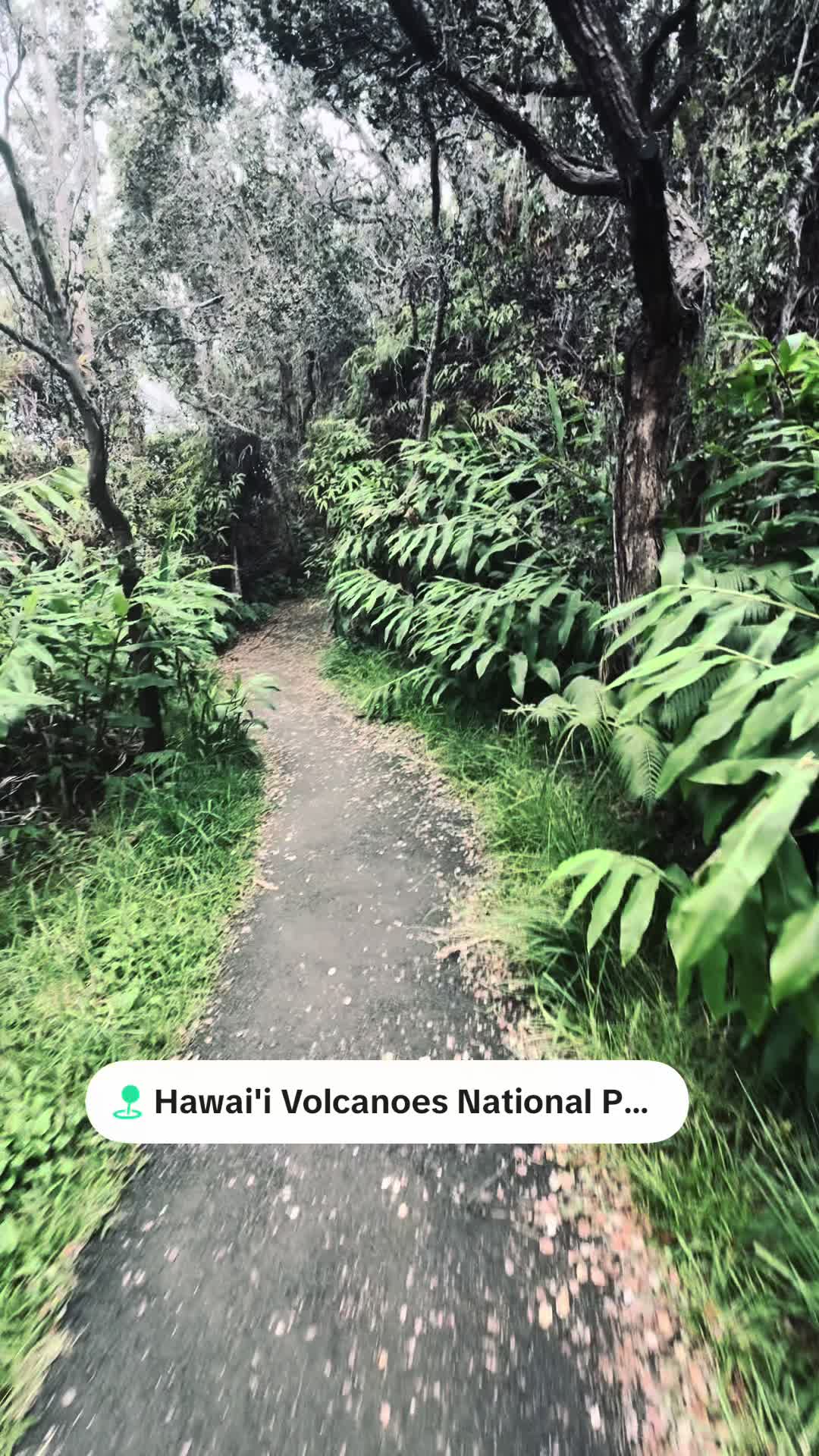 @snailtrailadventures