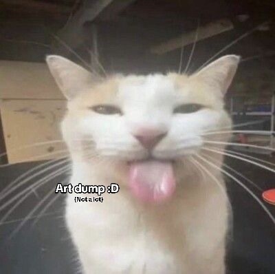 @SC4RLETTARROWZZ‼️