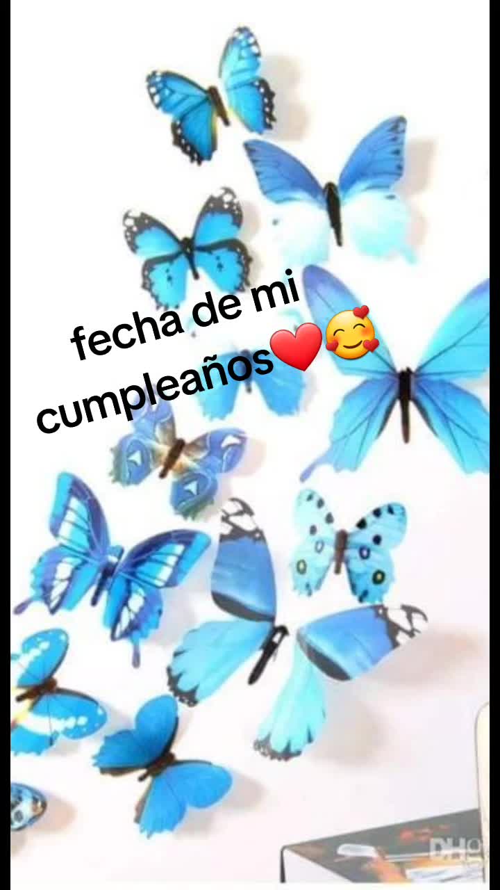 @lamely81