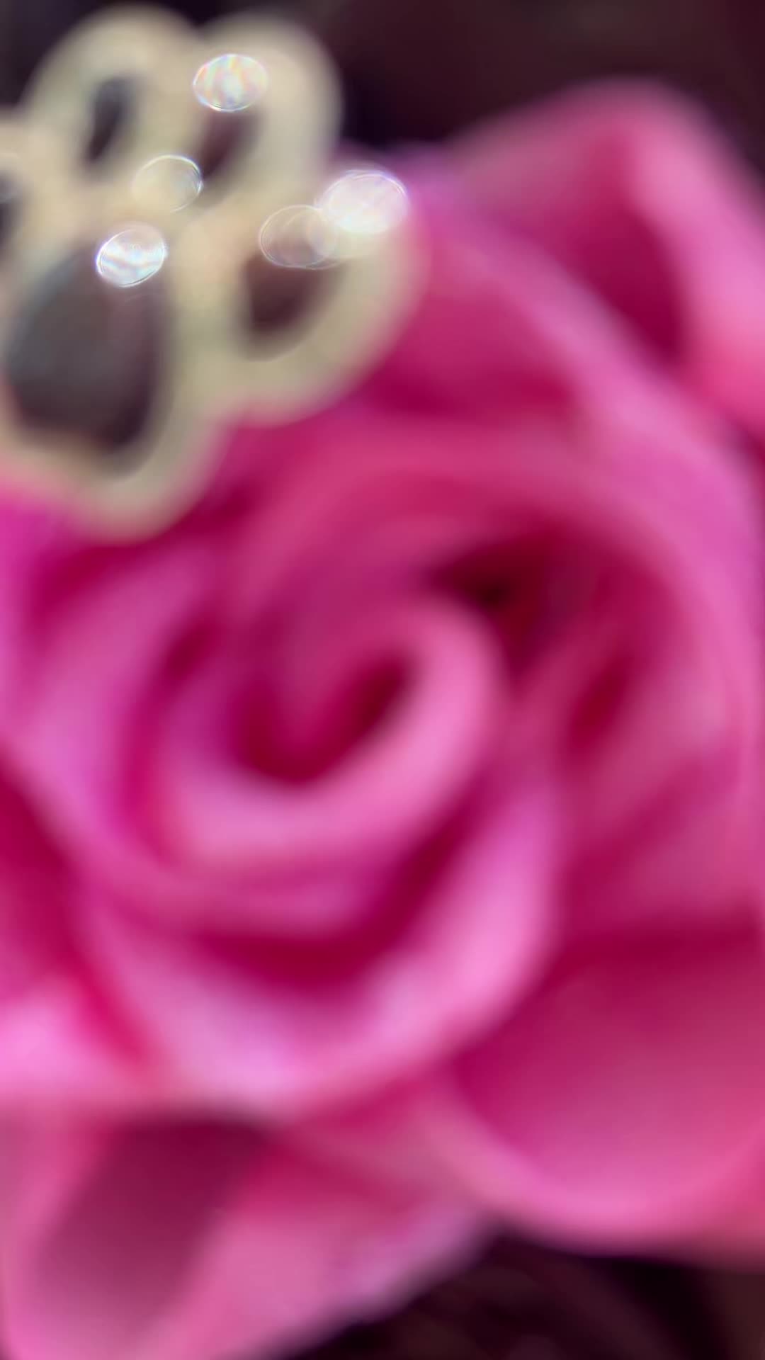 @boquete_byvictor💐