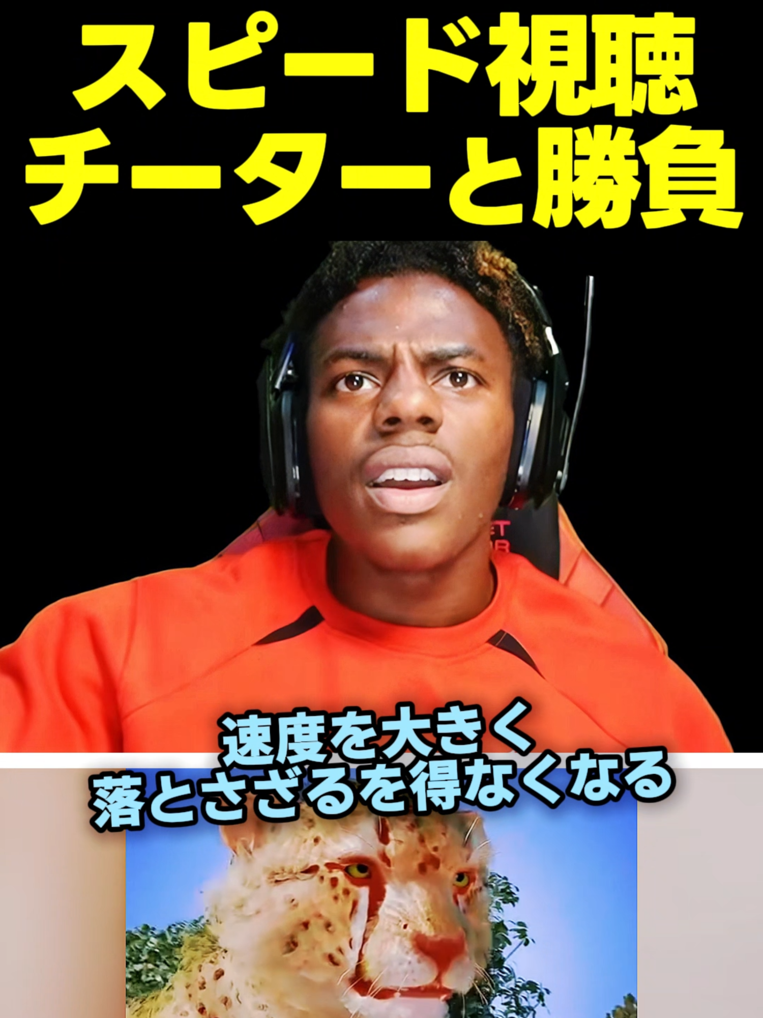 @スピードジャパン