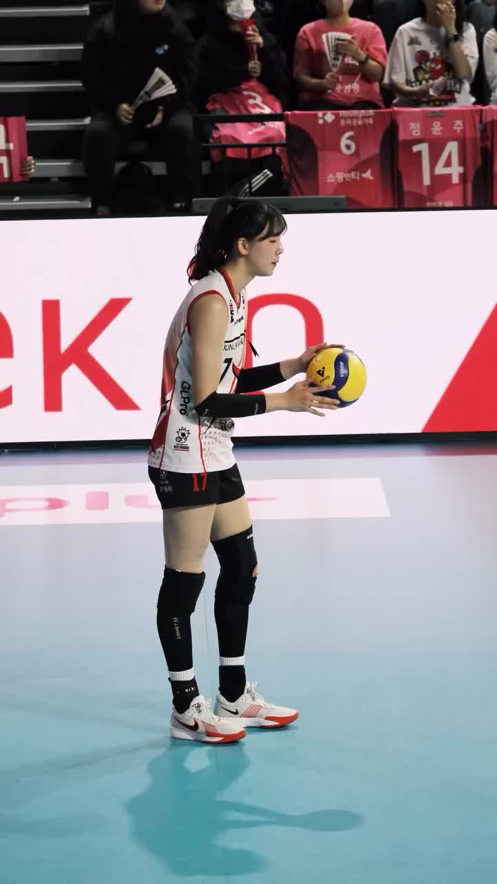 @volleyball