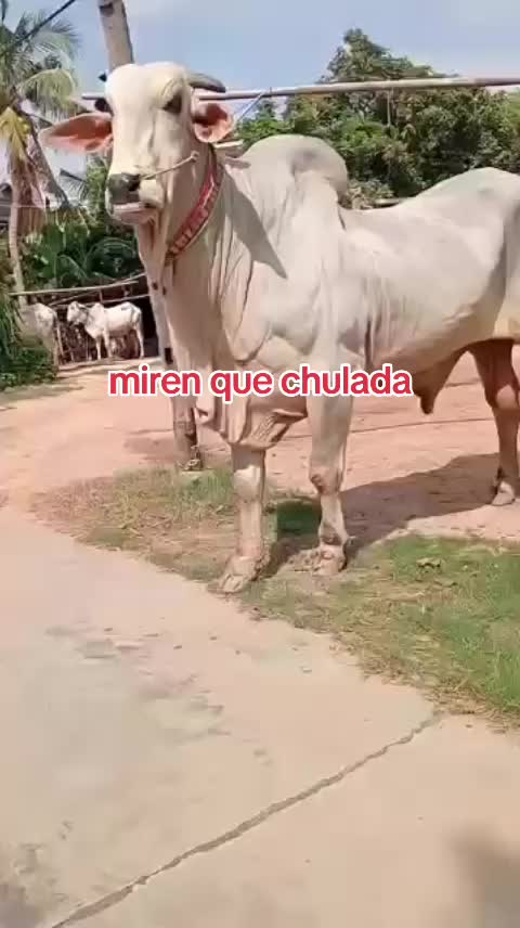 @NATURALEZARANCHO