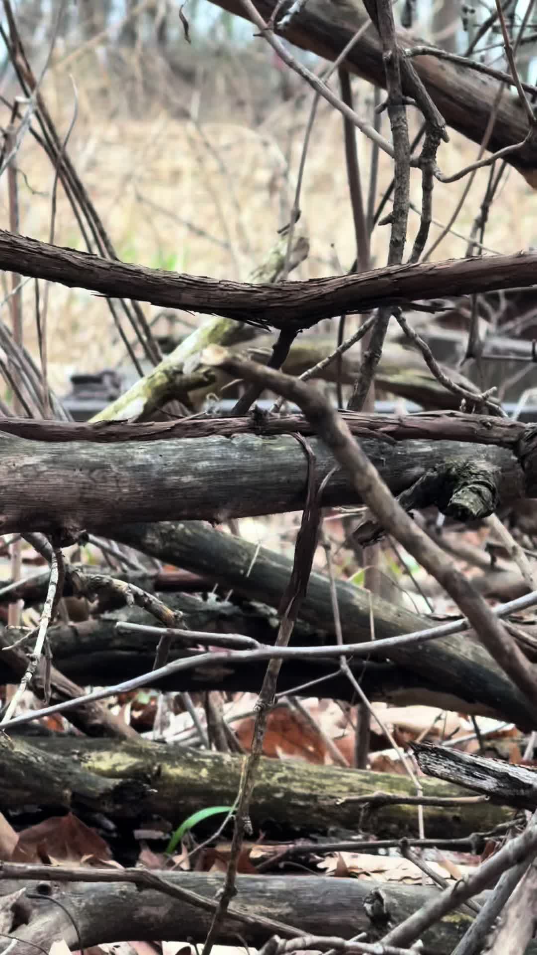 @wisco_outdoorsman