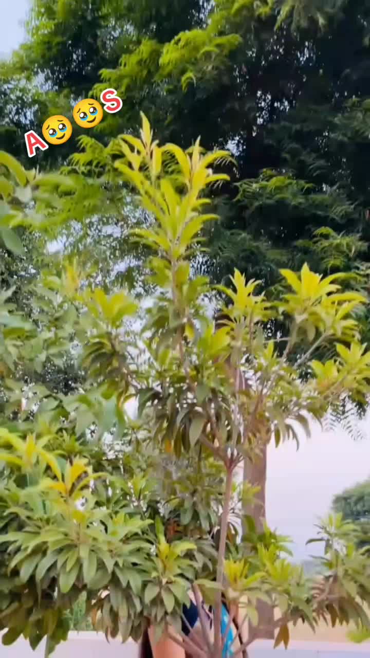 @Raju Kumar 1212