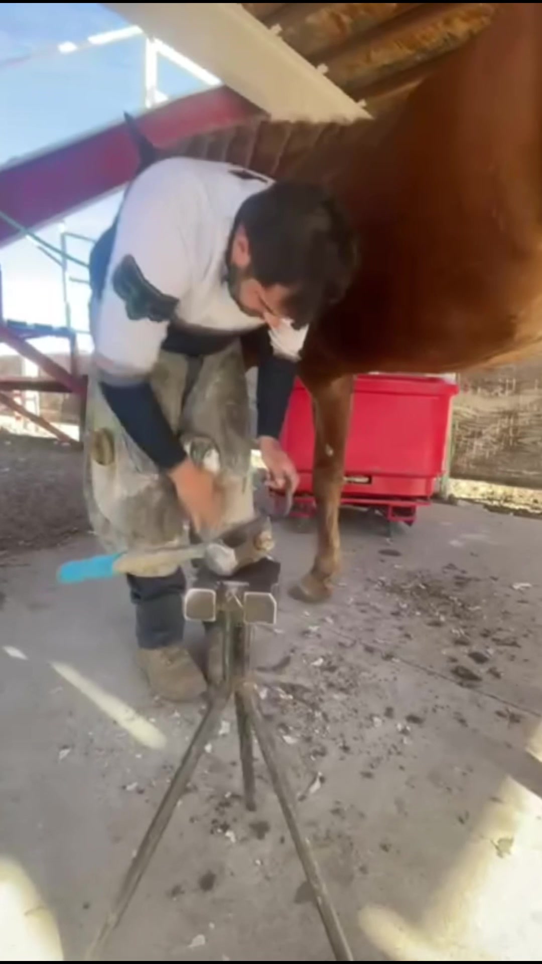 @Farriershoeshorsesnicotina🏇🔨