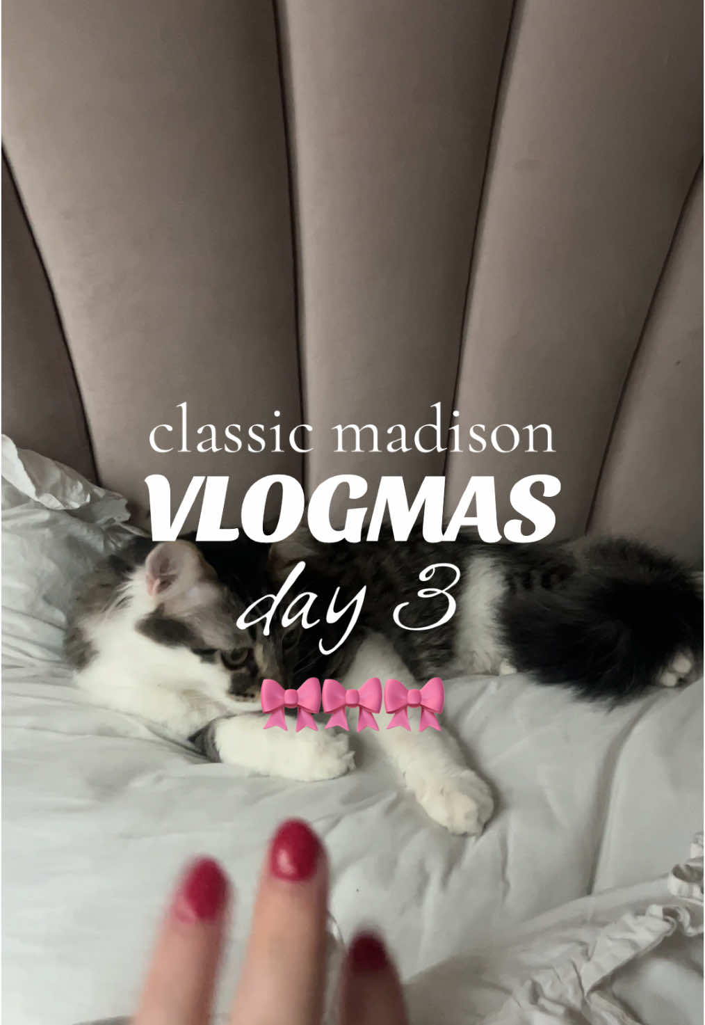 @theclassicmadison