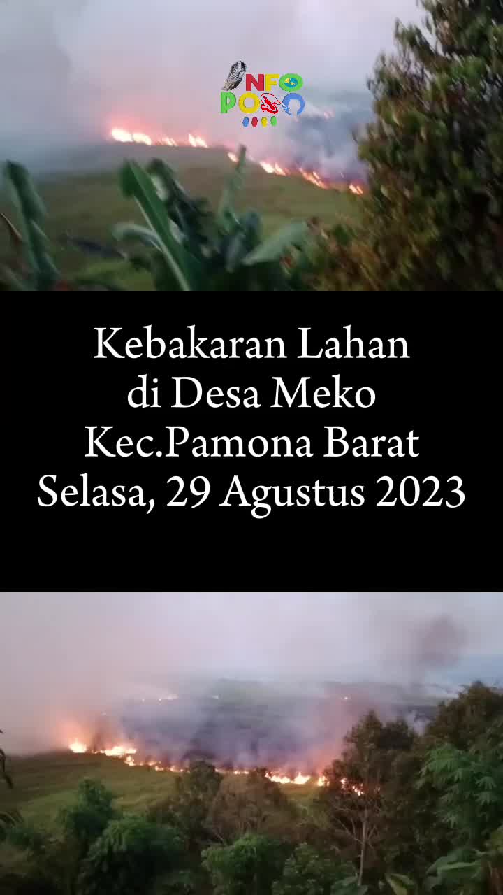 @Info Poso
