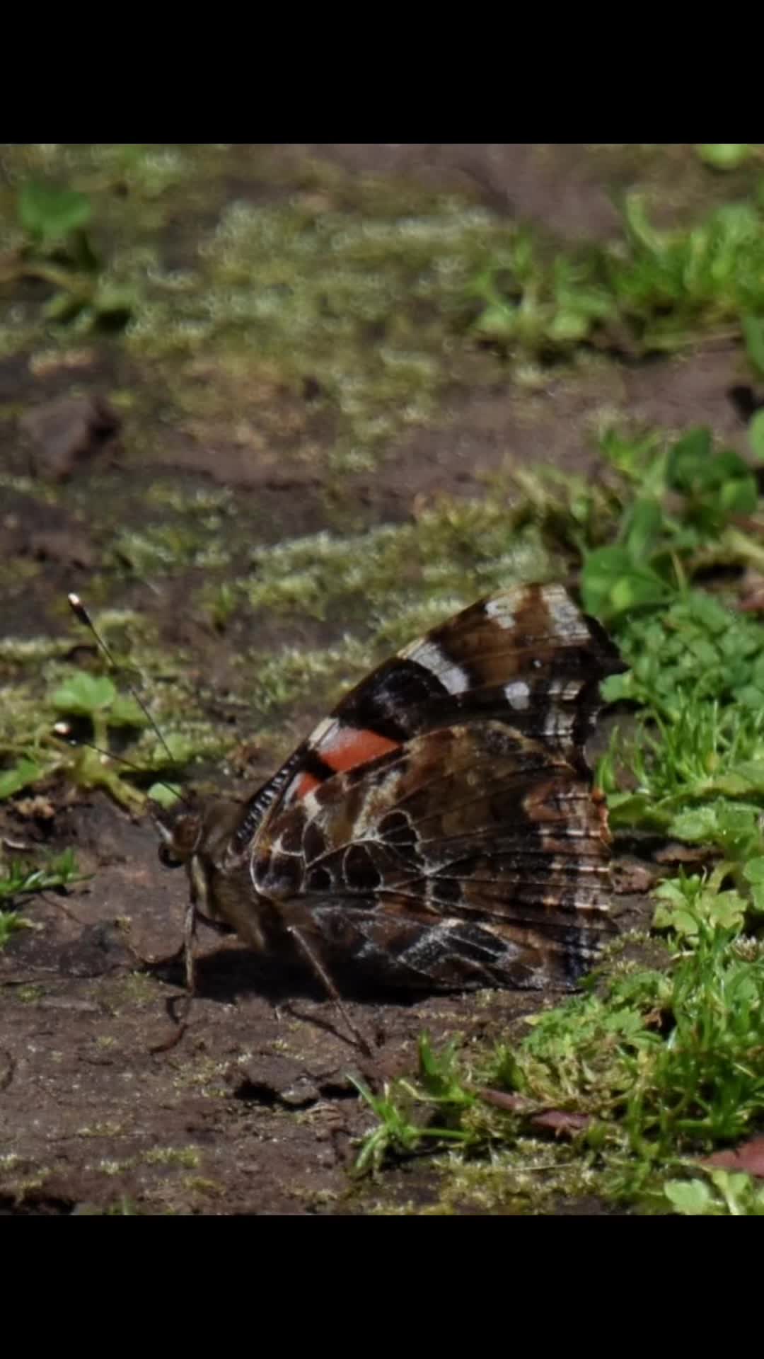@havr-photo.picfair.com