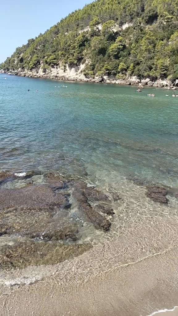 @Concetta Dalpino