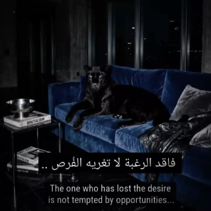@🖤توفيـﮯق / toufik💫