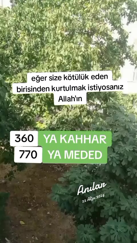 @serpil karakuş