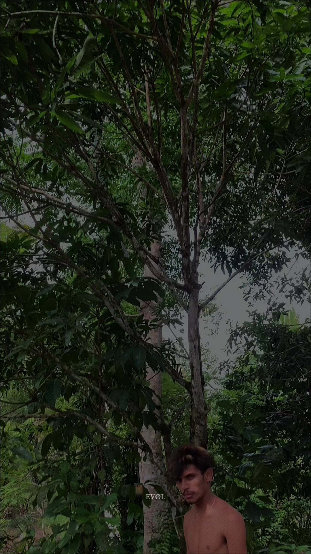 @Np