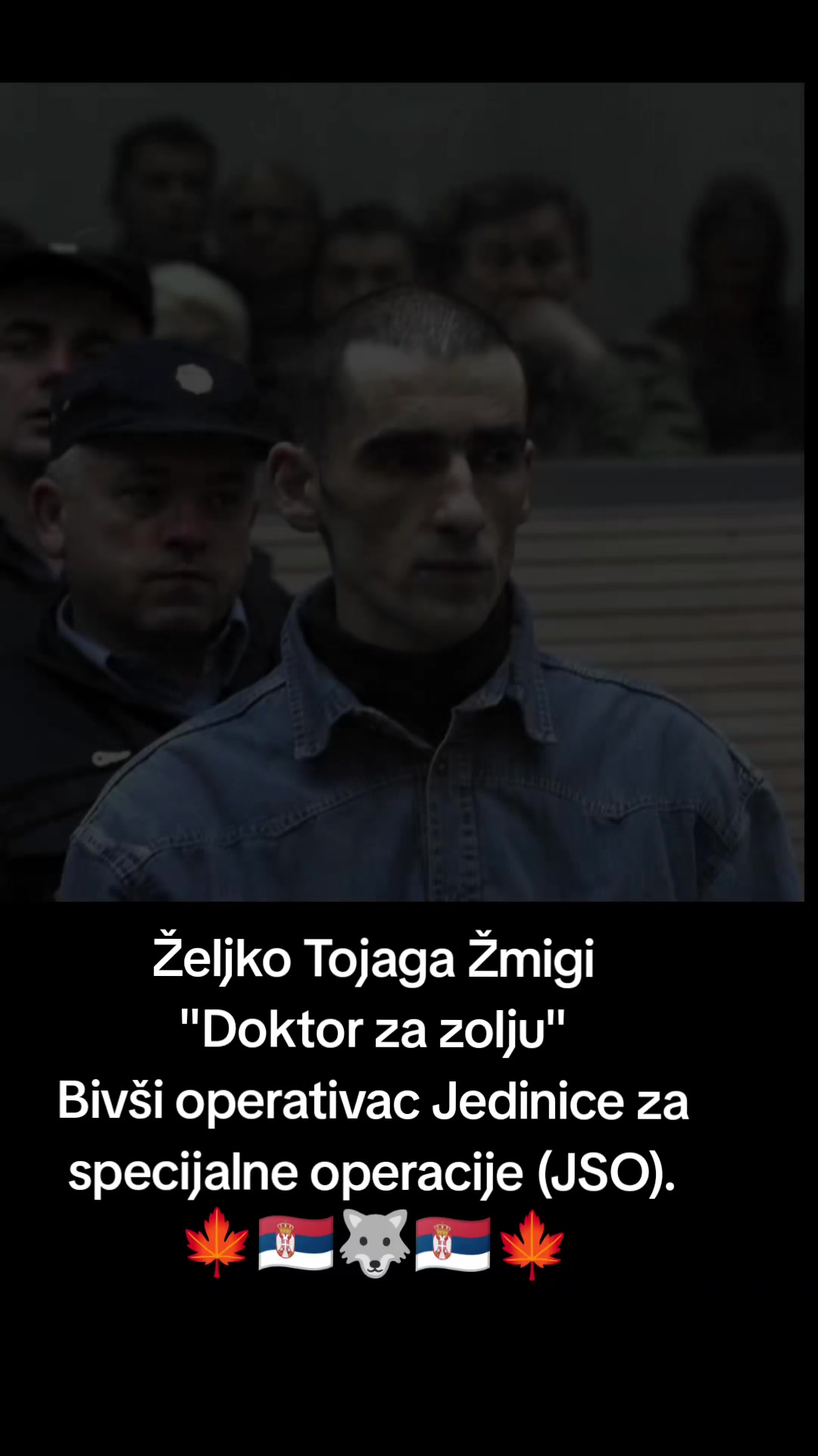 @vidar_rs