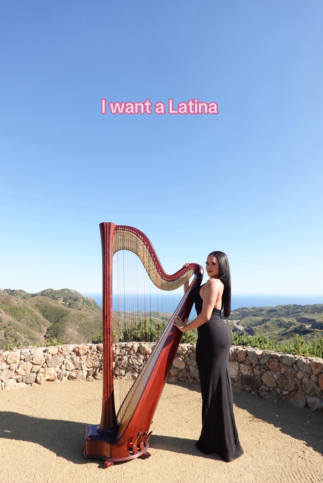 @betaniarodriguezharp